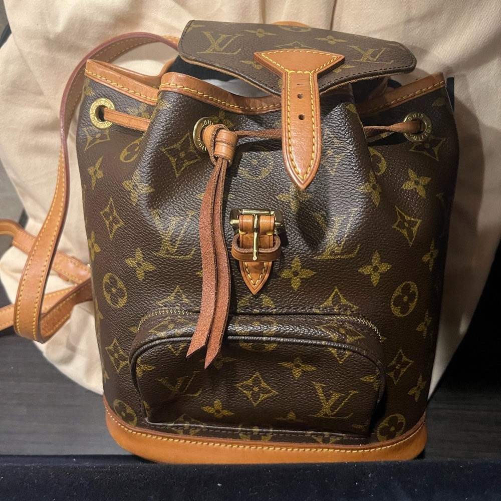 Louis Vuitton Montsouris pm